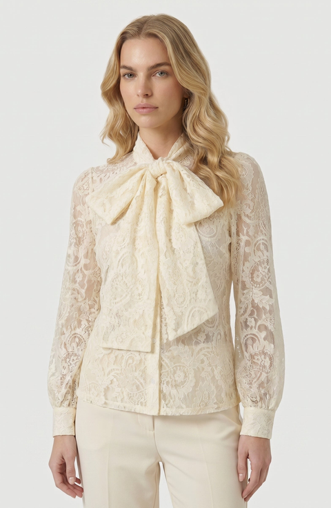 Tie Neck Sheer Long Sleeve Lace Blouse