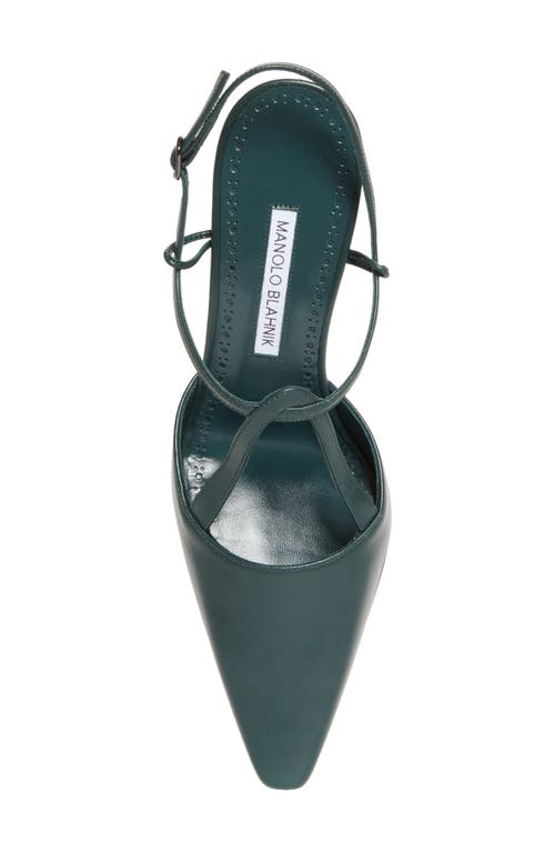 Manolo Blahnik Minia Pointy Toe T-bar Pump (women0 In Green