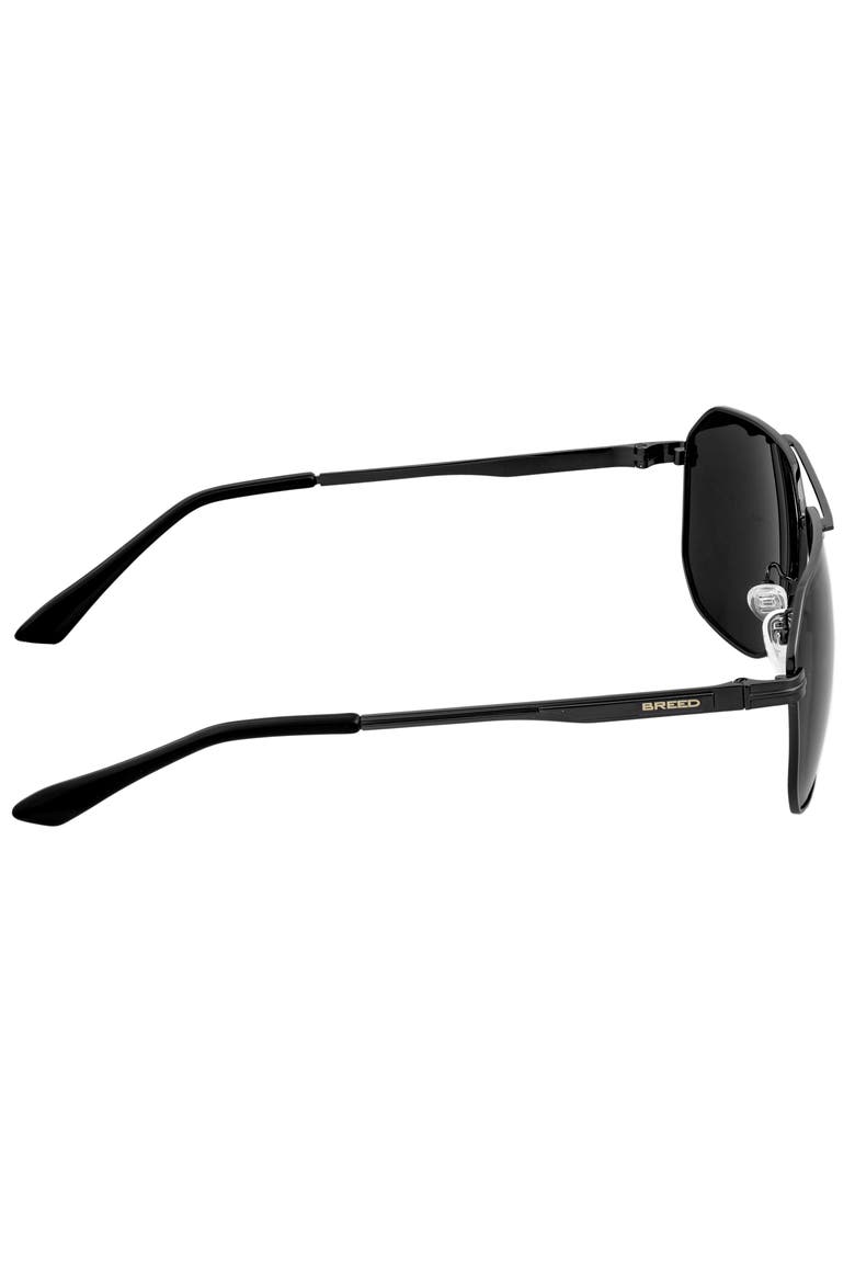 Norma Polarized Sunglasses, Alternate, color, Black/Black