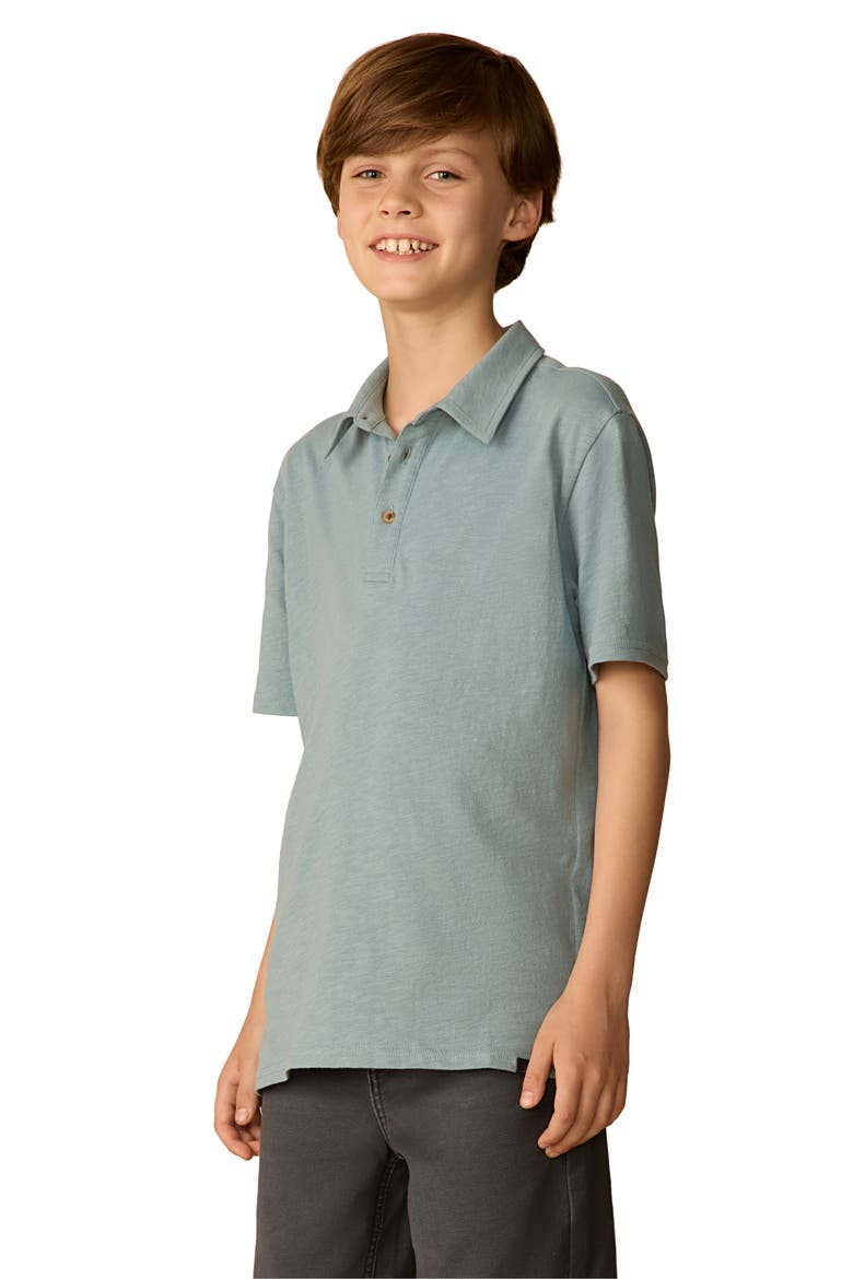 Kids' Sun Washed Organic Cotton Polo, Alternate, color, MOUNTAIN WIND STRIPE