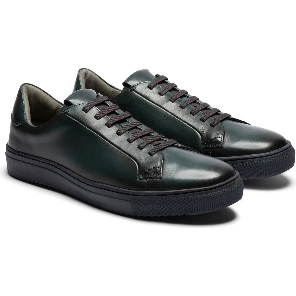 Gernie Elastic Lace Leather Sneaker In Black