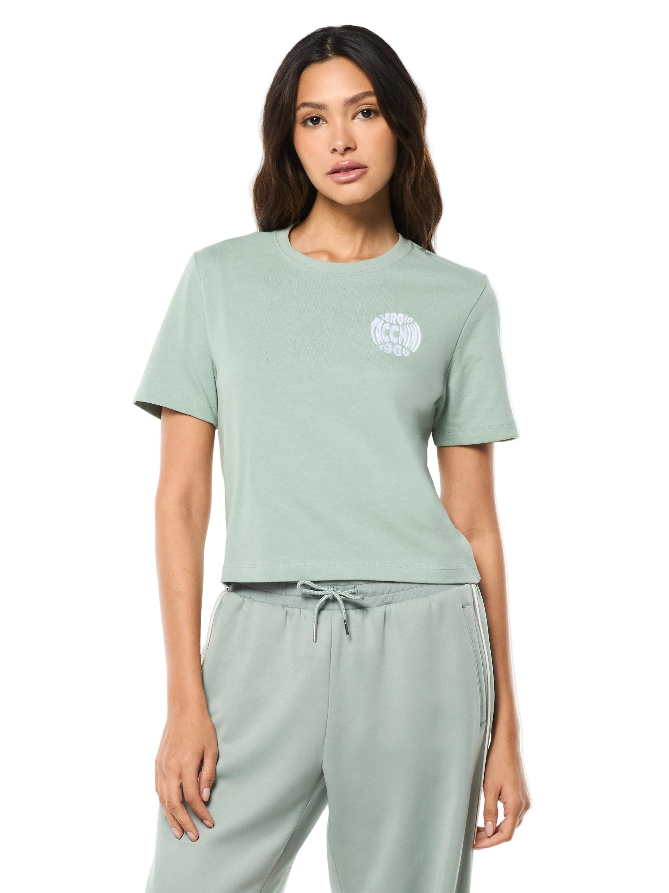 SLATE GRAY