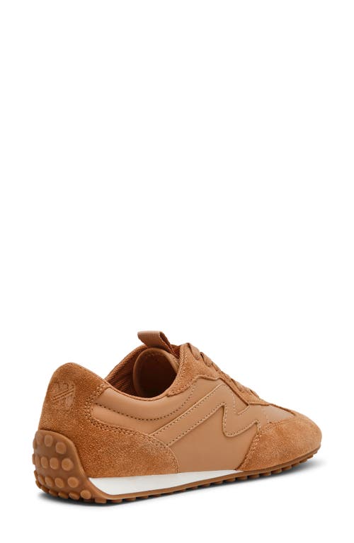 Steve Madden Casper Sneaker In Brown