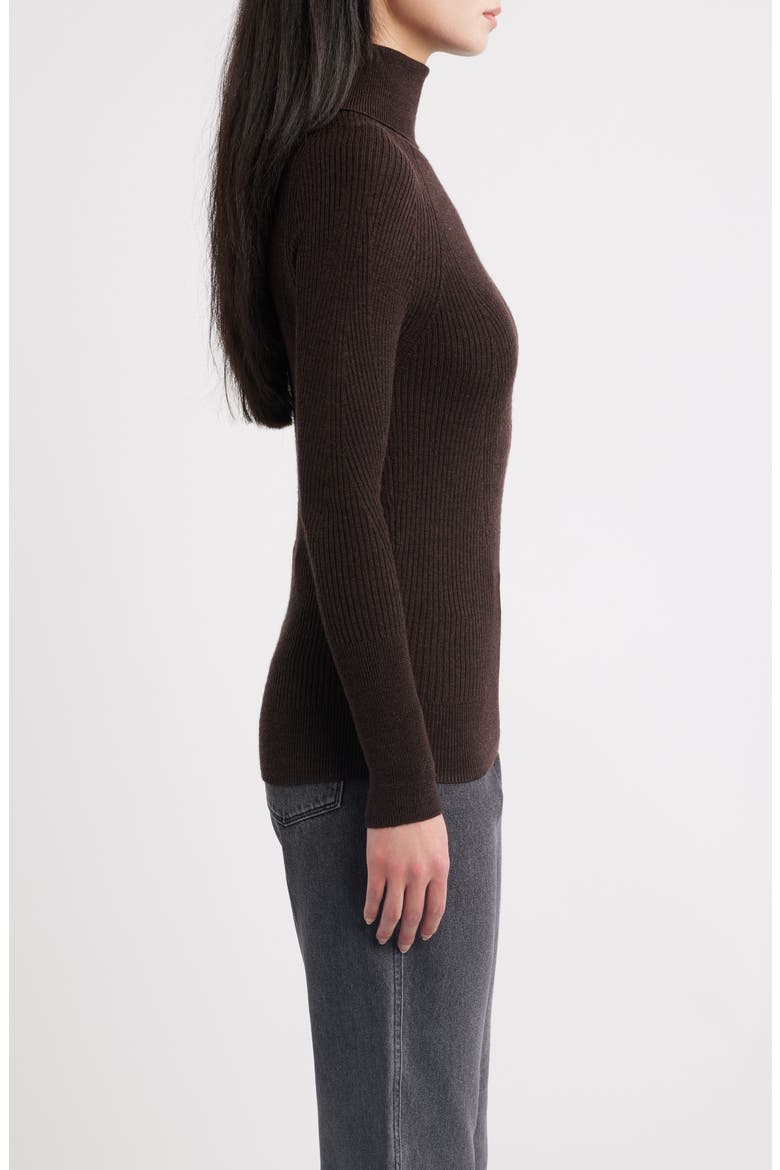 Merino Wool Turtleneck Sweater, Alternate, color, BRUNETTE