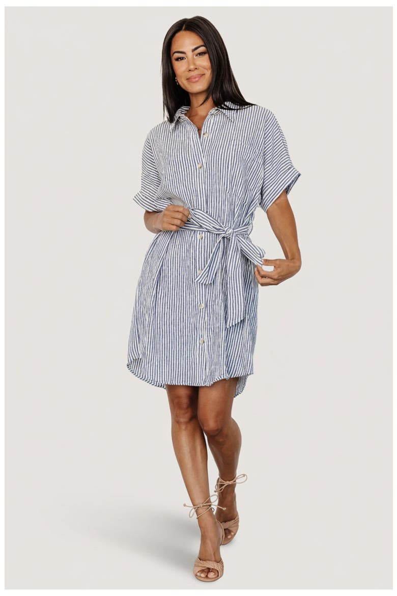 Nautical Shirt Dress, Main, color, Blue Stripe