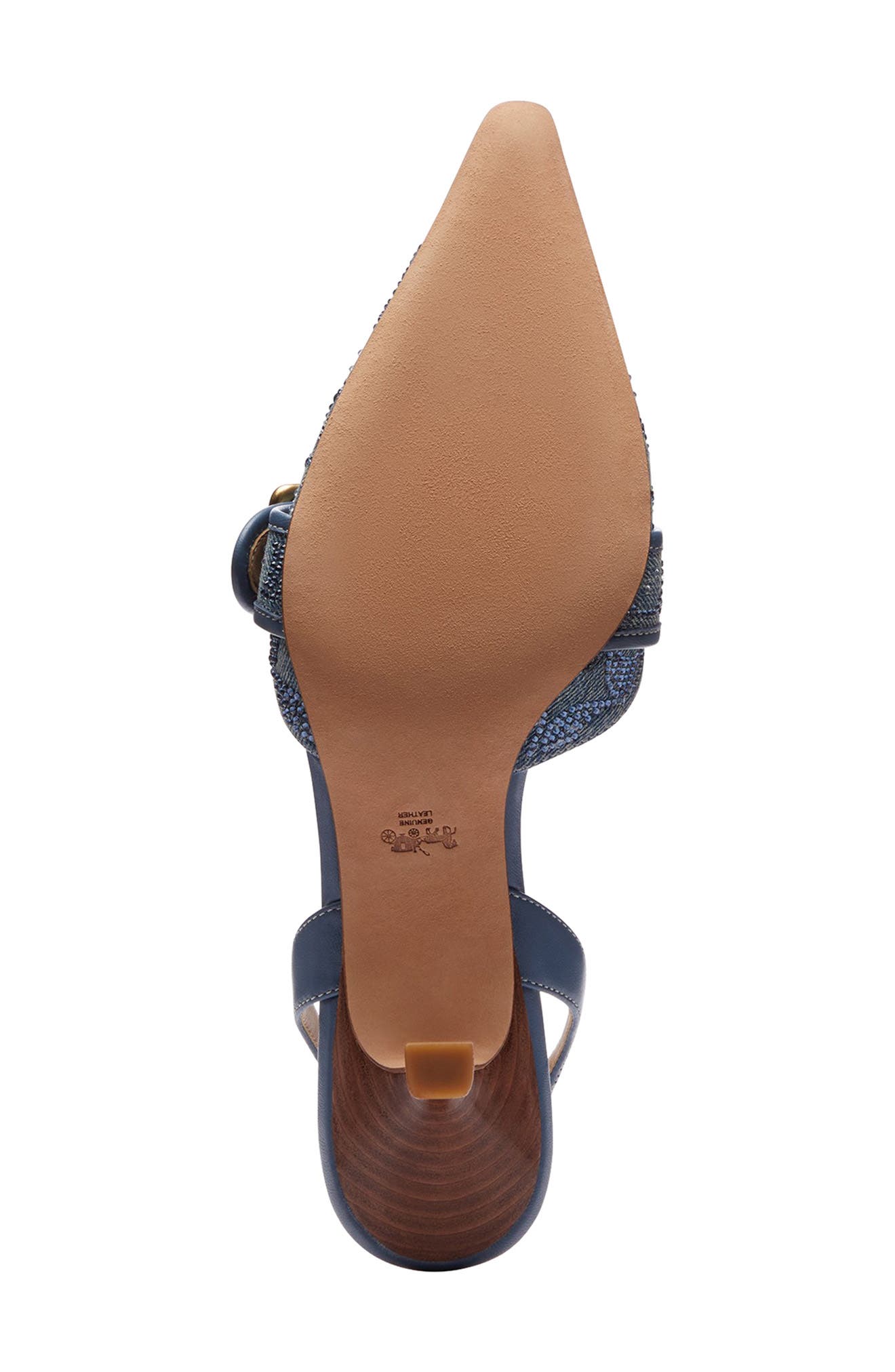 Margot Slingback Pointed Toe Pump, Alternate, color, DENIM.