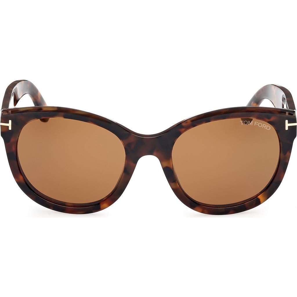 Tom Ford Tamara 54mm Round Sunglasses In Dark Havana/brown