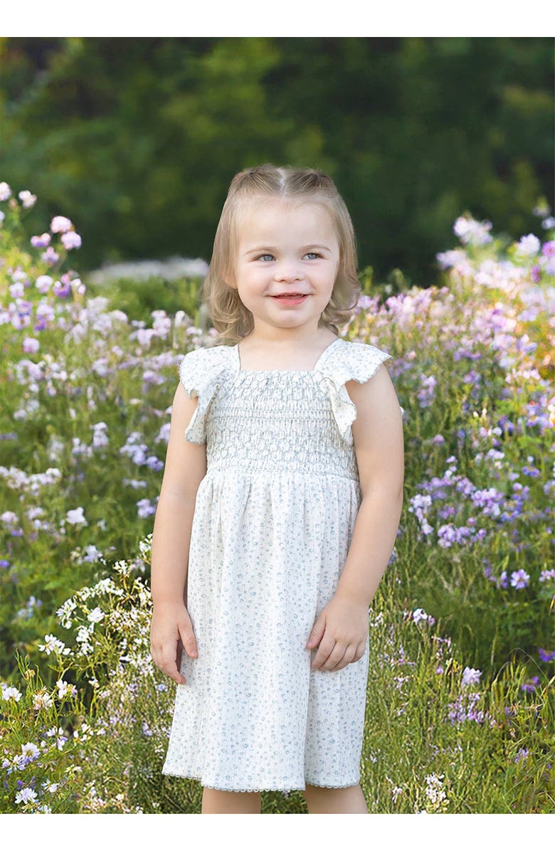 Mabel + Honey Opal Short Flutter Sleeve Dress, Alternate, color, Blue