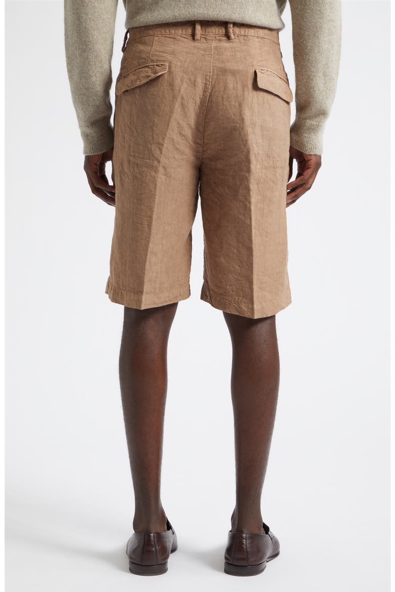 Pleated Longline Linen Shorts, Alternate, color, CLAY