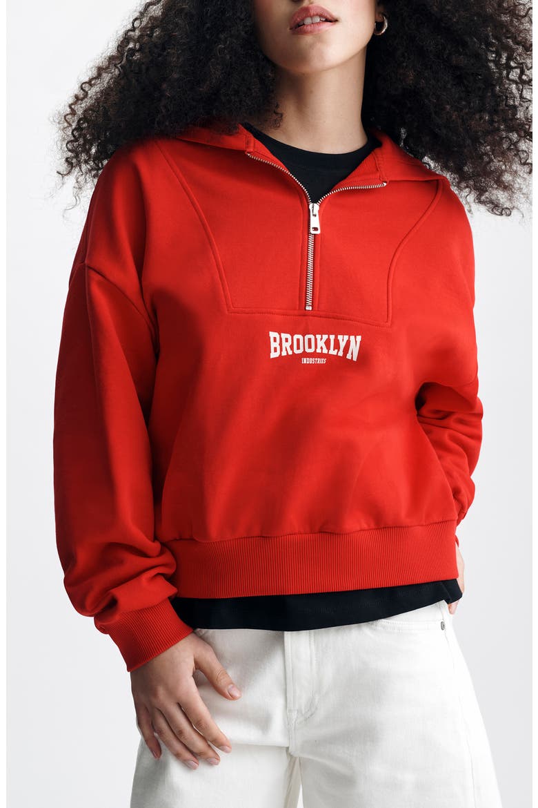 Half Zip Graphic Hoodie, Main, color, GOJI BERRY