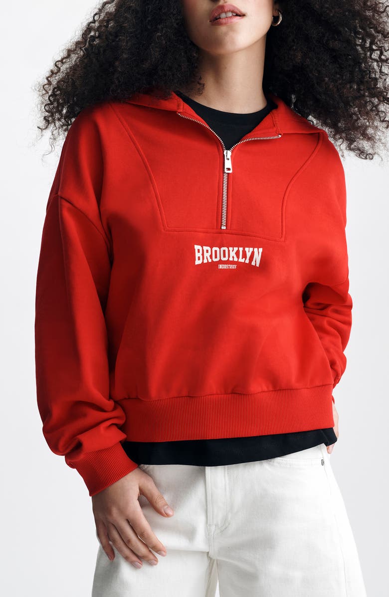 Brooklyn Industries Half Zip Graphic Hoodie, Main, color, Goji Berry