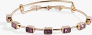 Alex and Ani February Birthstone Emerald Cut Bangle