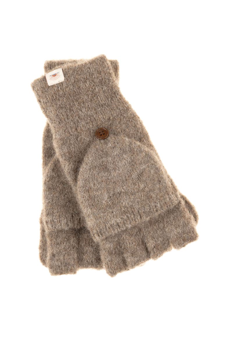 Northern Lights Mitten, Main, color, Brown
