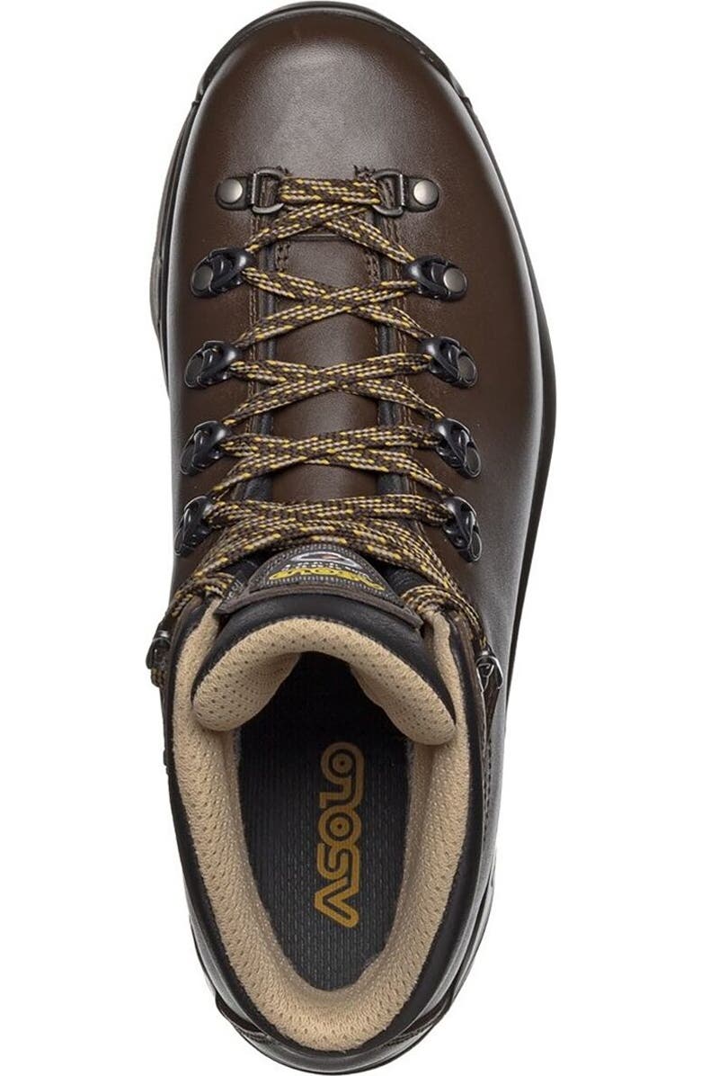 Asolo Tps 520 Gv Evo Wide Backpacking Boot - Men's, Alternate, color, Chestnut