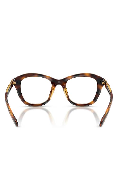 Swarovski 48mm Small Cat Eye Optical Glasses In Brown