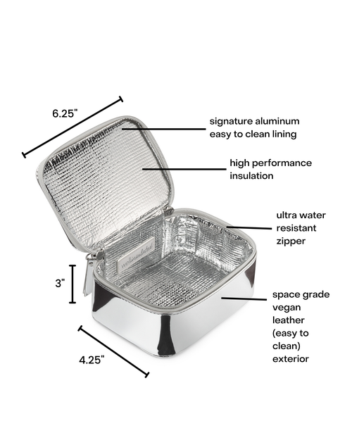Wellinsulated Performance Mini Travel Case In Silver