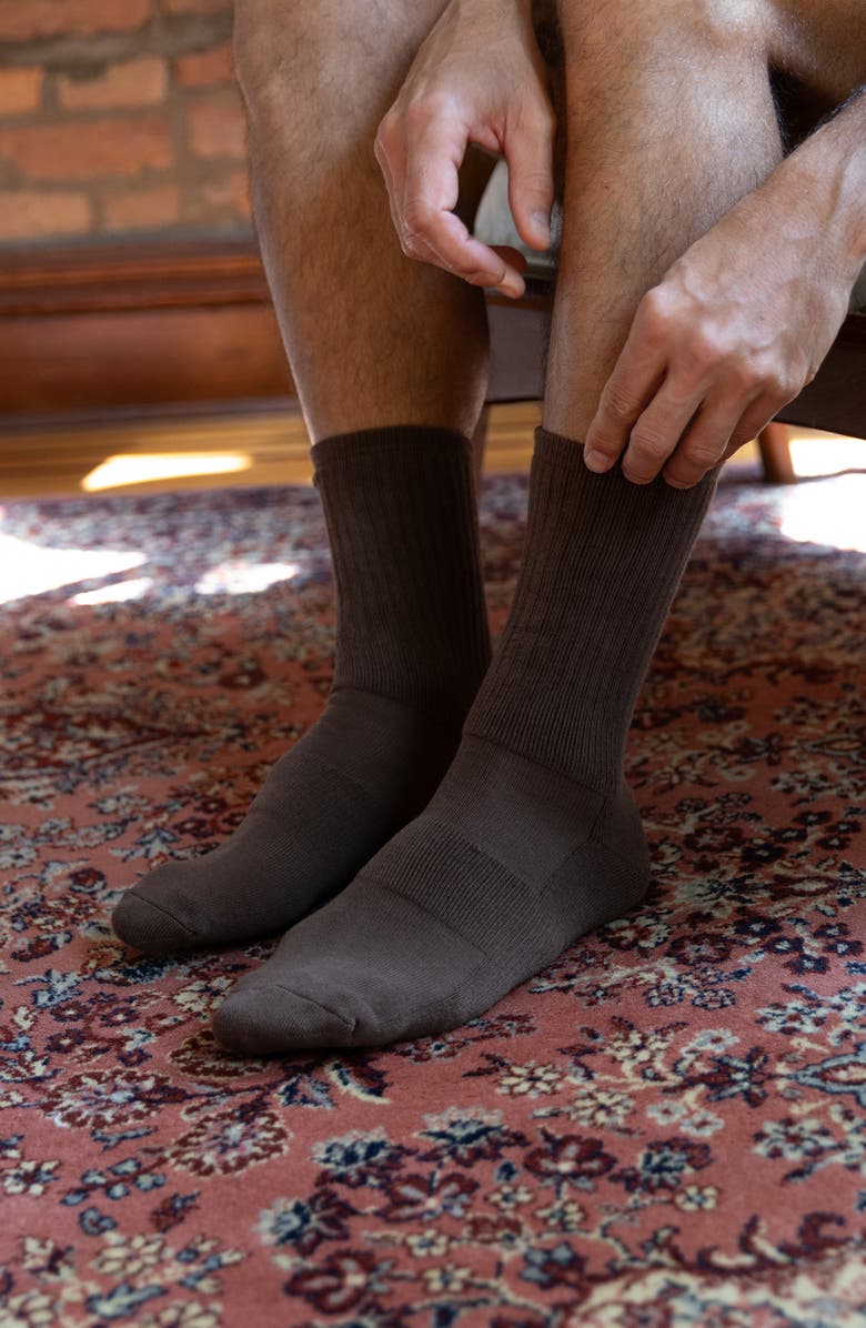 Druthers NYC Organic Cotton Everyday Crew Sock, Alternate, color, Chocolate