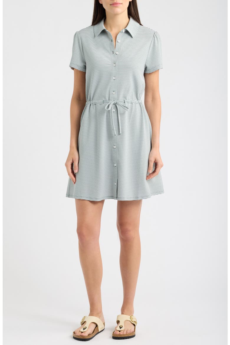 Costa Wave Striped Shirtdress, Main, color, DK JADE