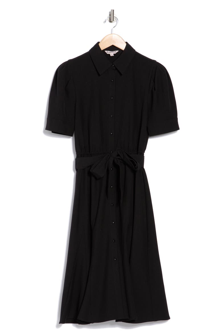 Belted Shirtdress, Alternate, color, VERY BLACK