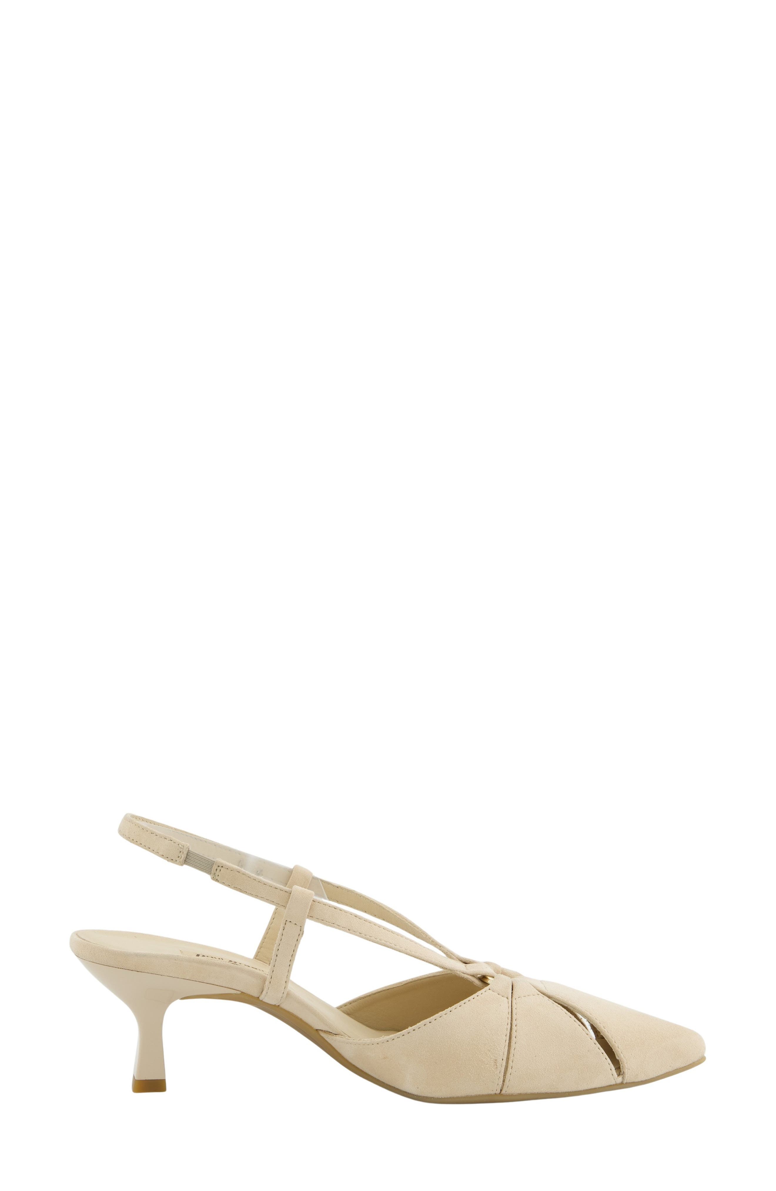 Daria Slingback Kitten Heel Pointed Toe Pump, Alternate, color, BISCUIT SUEDE
