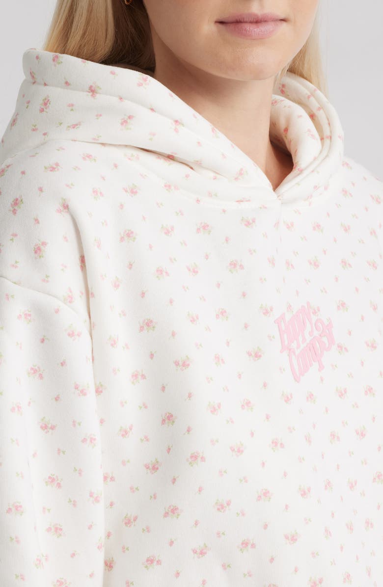 HAPPY CAMP3R Garden Confetti Core Graphic Hoodie, Alternate, color, Frost White