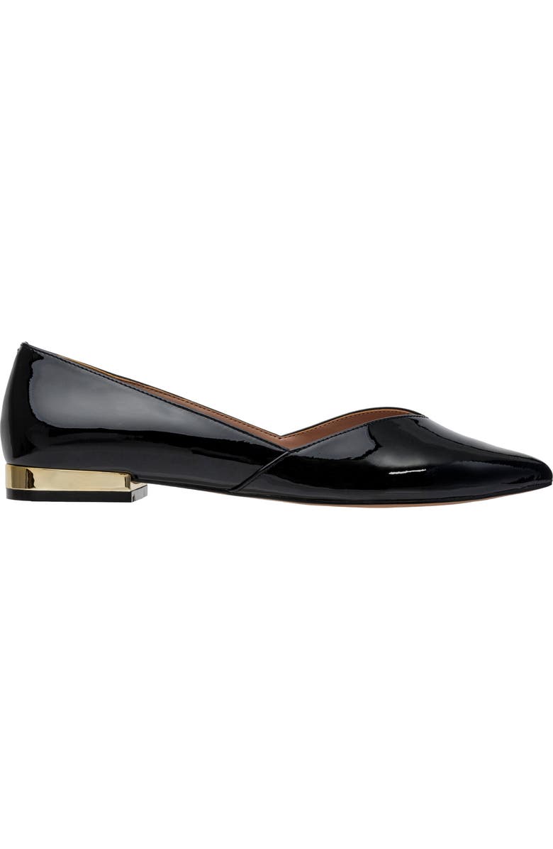 Linea Paolo Nasya Pointed Toe Flat, Alternate, color, Black