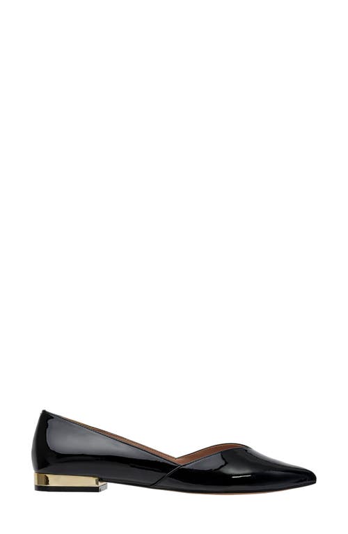 Linea Paolo Nasya Pointed Toe Flat In Black