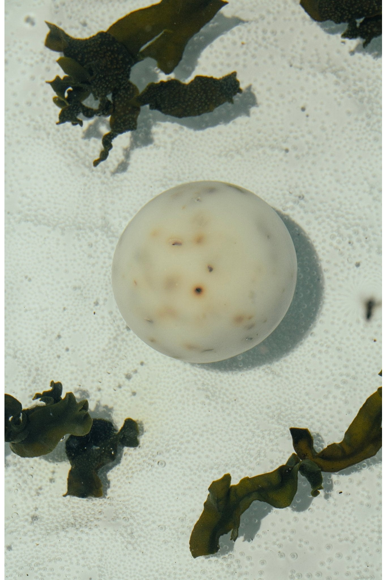 Sea Change Seaweed Sphere Soap, Alternate, color, Off-white / Brown