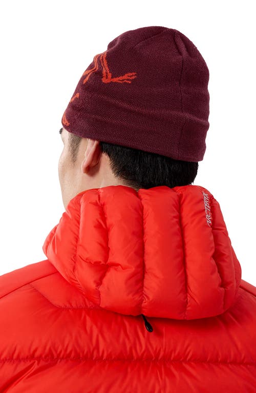 Arc'teryx Bird Head Merino Wool Blend Beanie In Burgundy