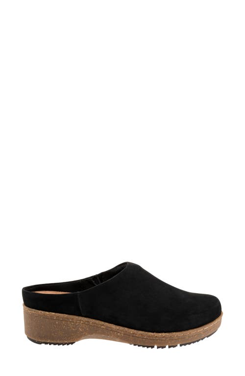 Softwalk ® Arvada Mule In Black Nubuck