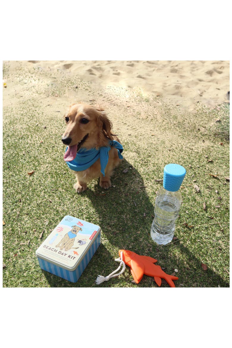 Beach Day Dog Kit, Alternate, color, BLUE MULTI