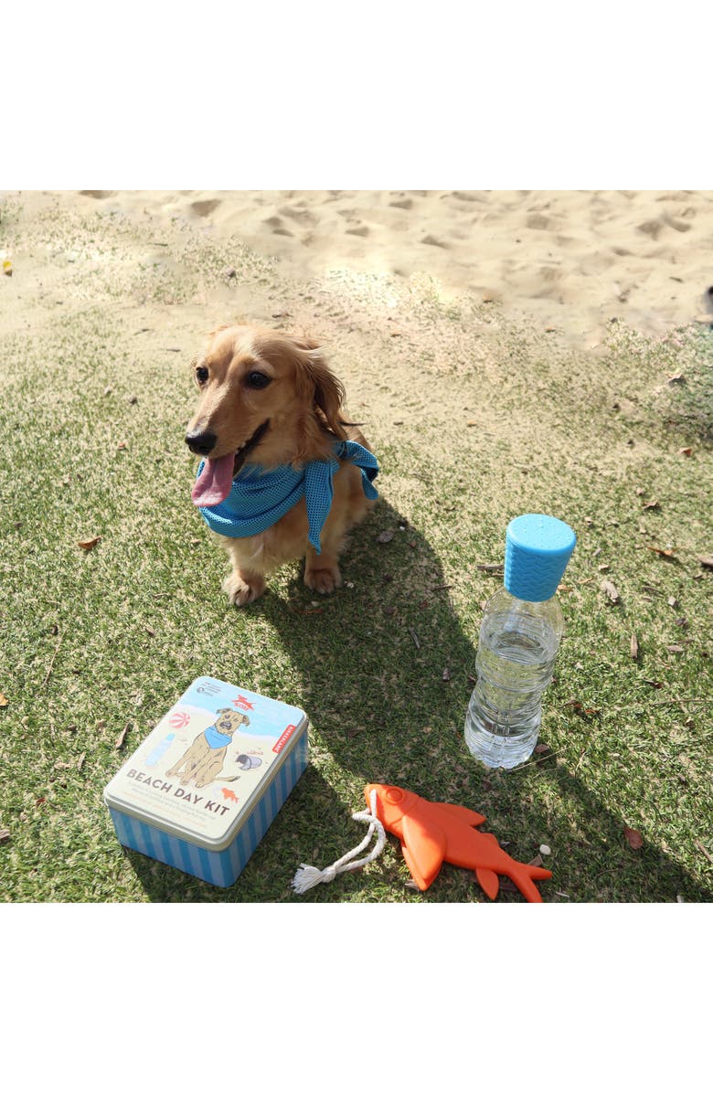 Kikkerland Design Beach Day Dog Kit, Alternate, color, Blue Multi