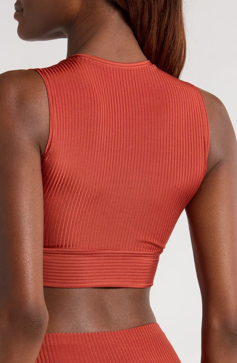 Robin Piccone Aubrey Tank Top, Alternate, color, Spice