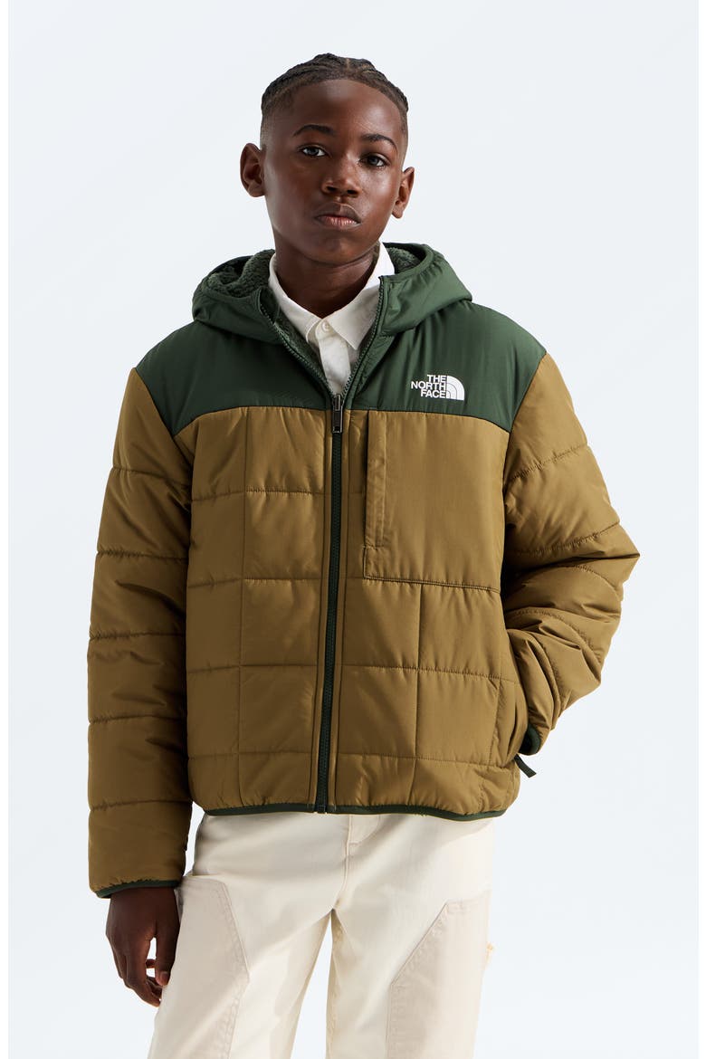 Kids' Shasta Water Repellent Reversible Hooded Jacket, Main, color, CARAWAY SEED/ BOTTLE GREEN