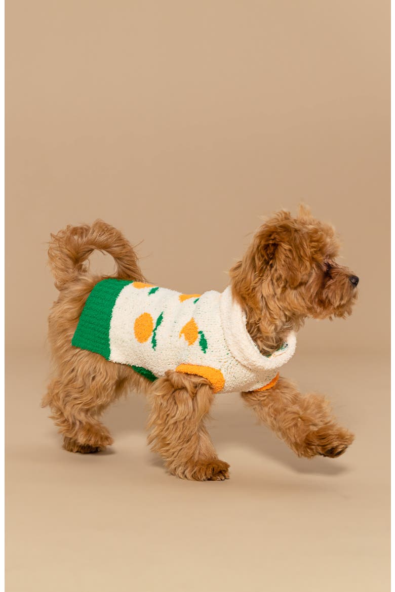 Orange Turtleneck Pet Sweater, Alternate, color, ORANGE