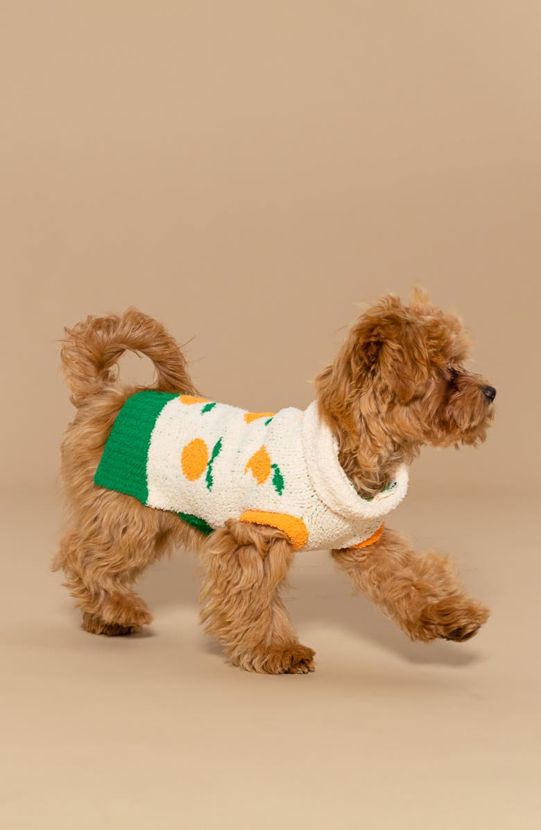 the furryfolks Orange Turtleneck Pet Sweater, Alternate, color, Orange