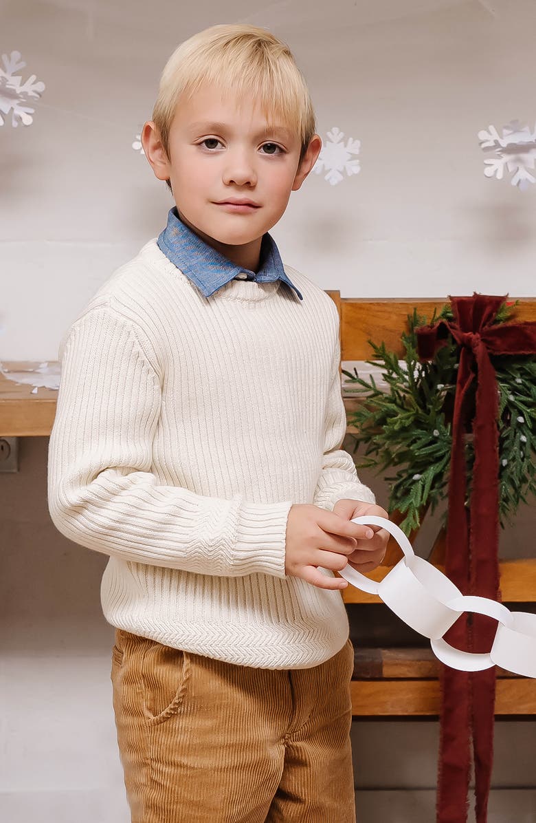 Hope & Henry Boys' Organic Herringbone Detail Crew Neck Sweater, Kids, Alternate, color, 