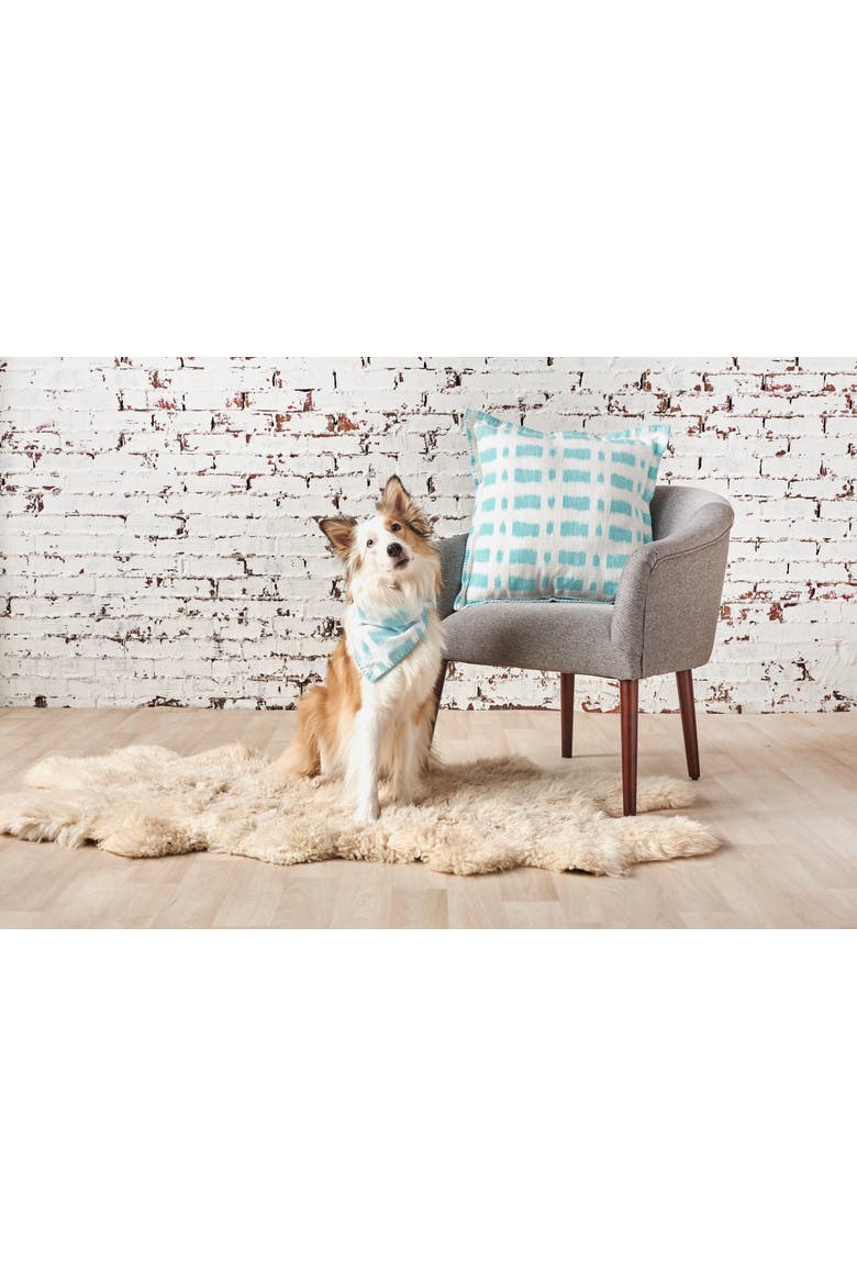Dash Pillow, 4" x " Collection, Alternate, color, Blue