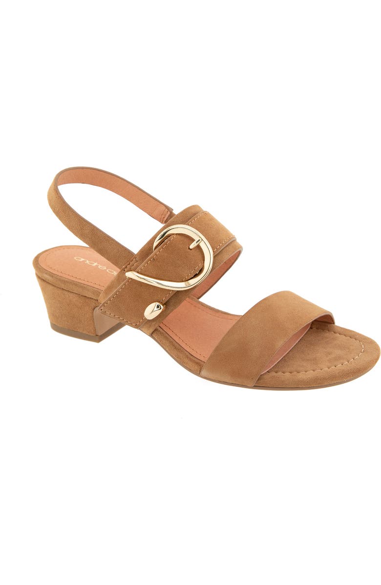 André Assous Patresa Ankle Strap Sandal, Main, color, Cognac