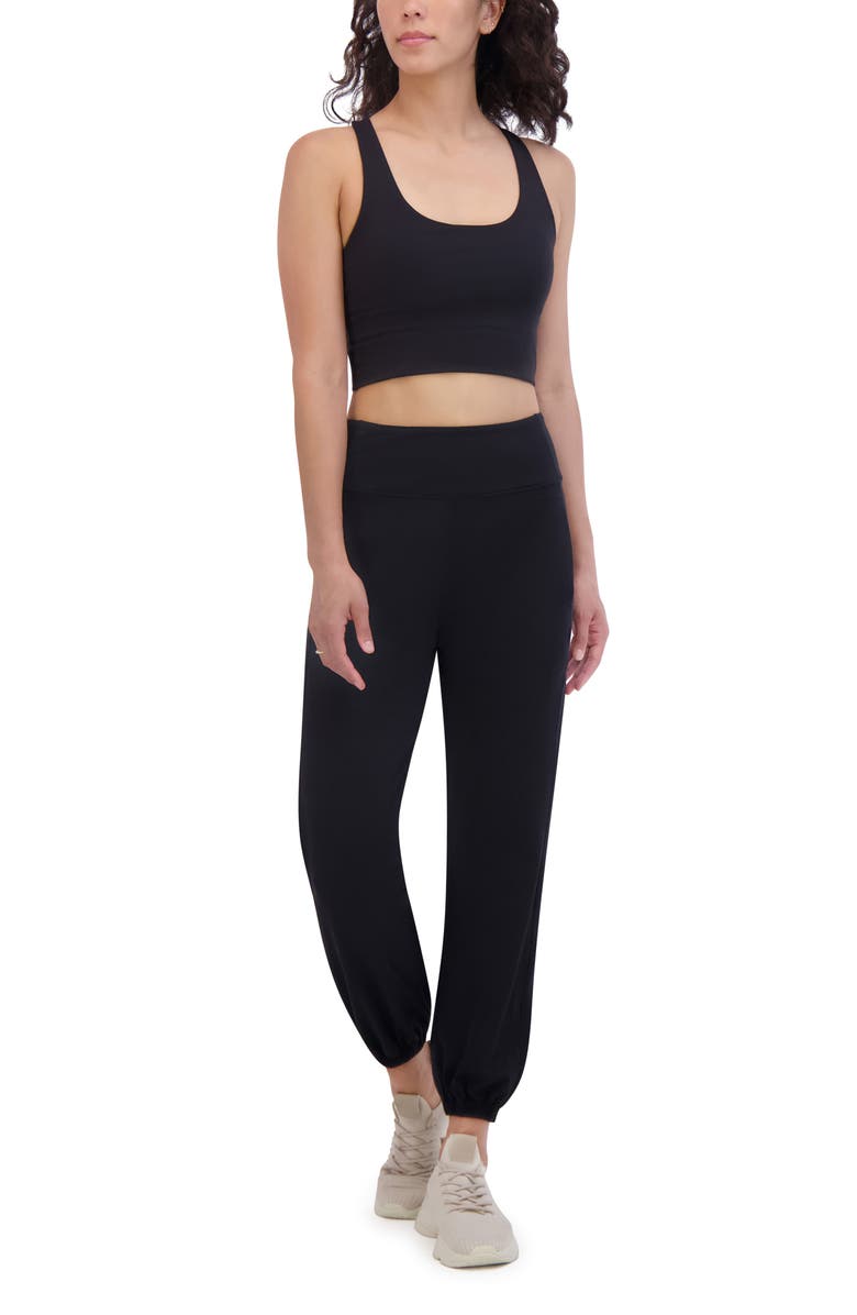 SAGE COLLECTIVE Skinny Performance Joggers, Alternate, color, 