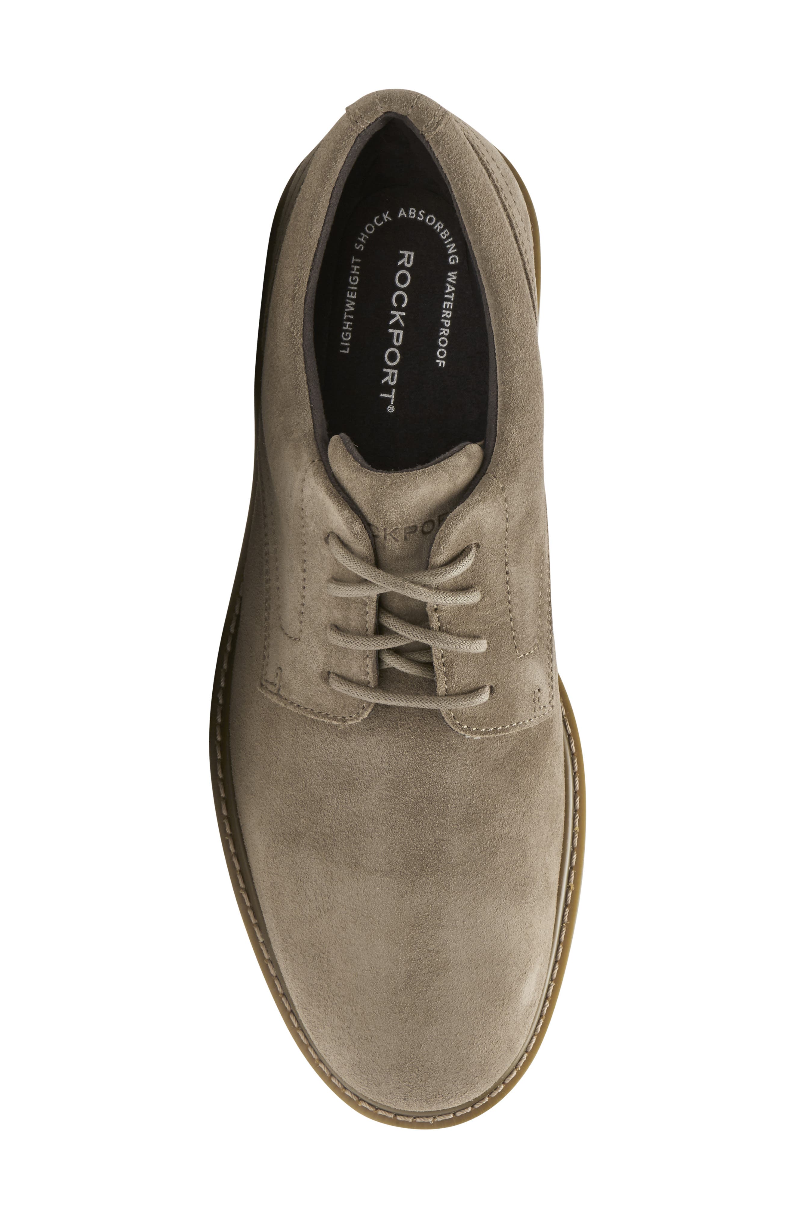 Charlee Waterproof Plain Toe Derby, Alternate, color, SAND SUEDE