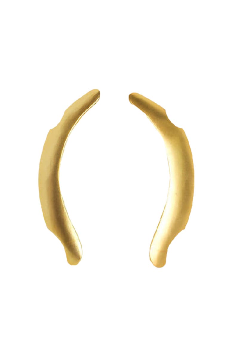 Dotto Objects Veda Earrings, Main, color, Gold