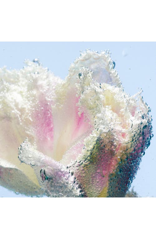 Byredo Tulipmania Hand Lotion Refill 15.2 Oz.