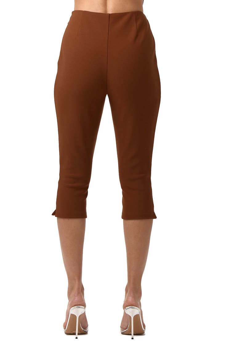 Suiting Capri Pants, Alternate, color, DARK MOCHA