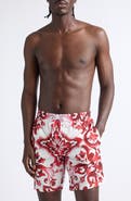 Dolce&Gabbana Majolica Print Swim Trunks