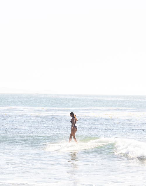 Carve Designs Shoreline Top D-dd Cup