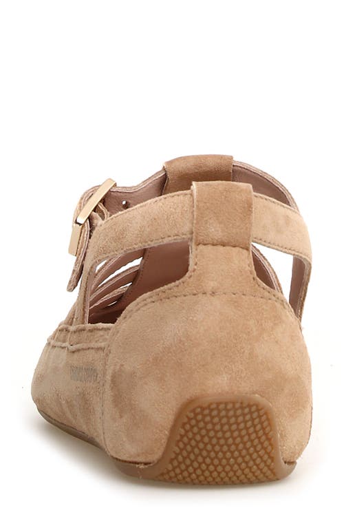 Candice Cooper Rock T-bar Fisherman Sandal In Cappuccino