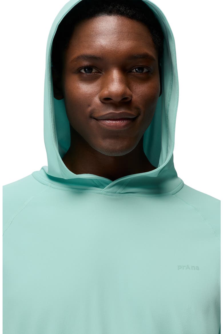 Sol Shade Long Sleeve Performance Hoodie, Alternate, color, SEA GLASS