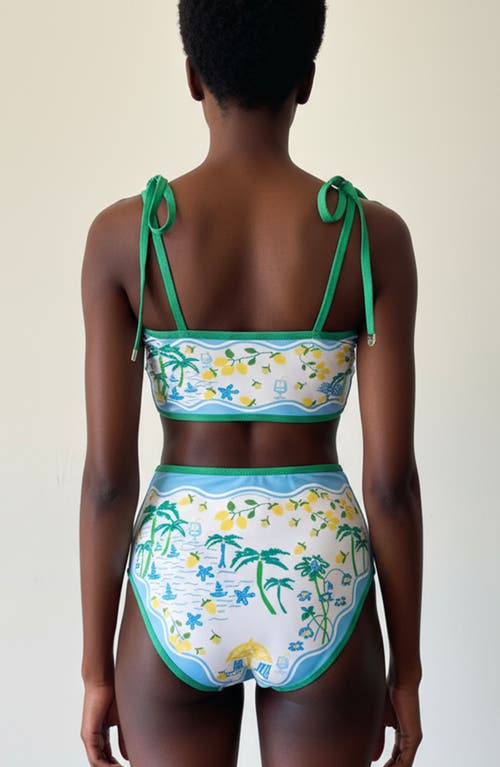 Jessie Zhao New York Tropical Escape Reversible Bikini Top In Green