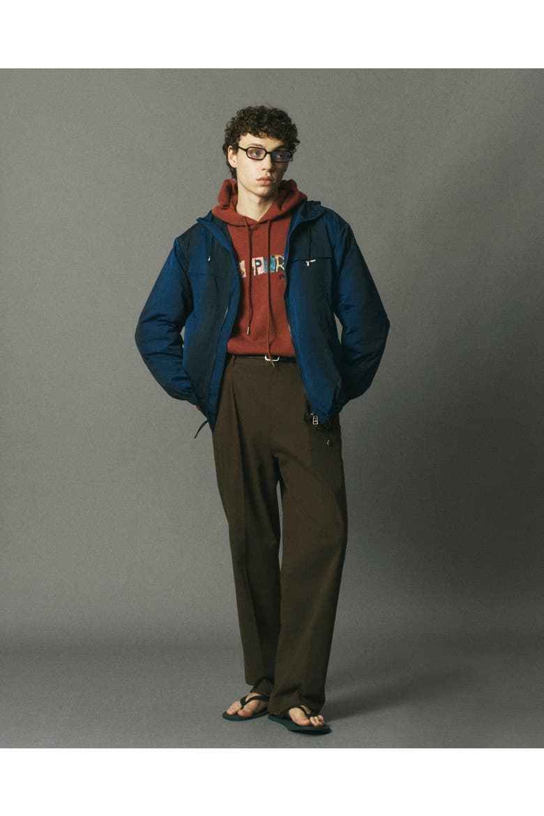 Hooded Zip Jacket, Alternate, color, Blue